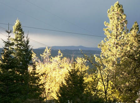 Upheld Through The Storm