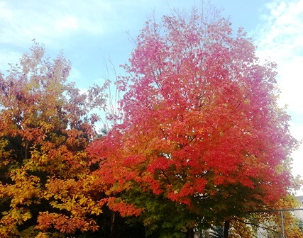 Upheld In Encouraging Words