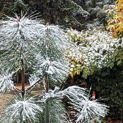 Upheld In Twists and Turns