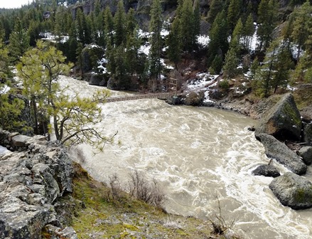 Upheld While Suspended