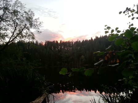 Upheld in Cricket Concerts