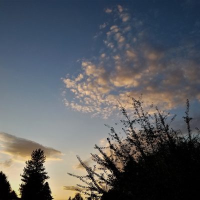 Upheld In Behind the Scenes