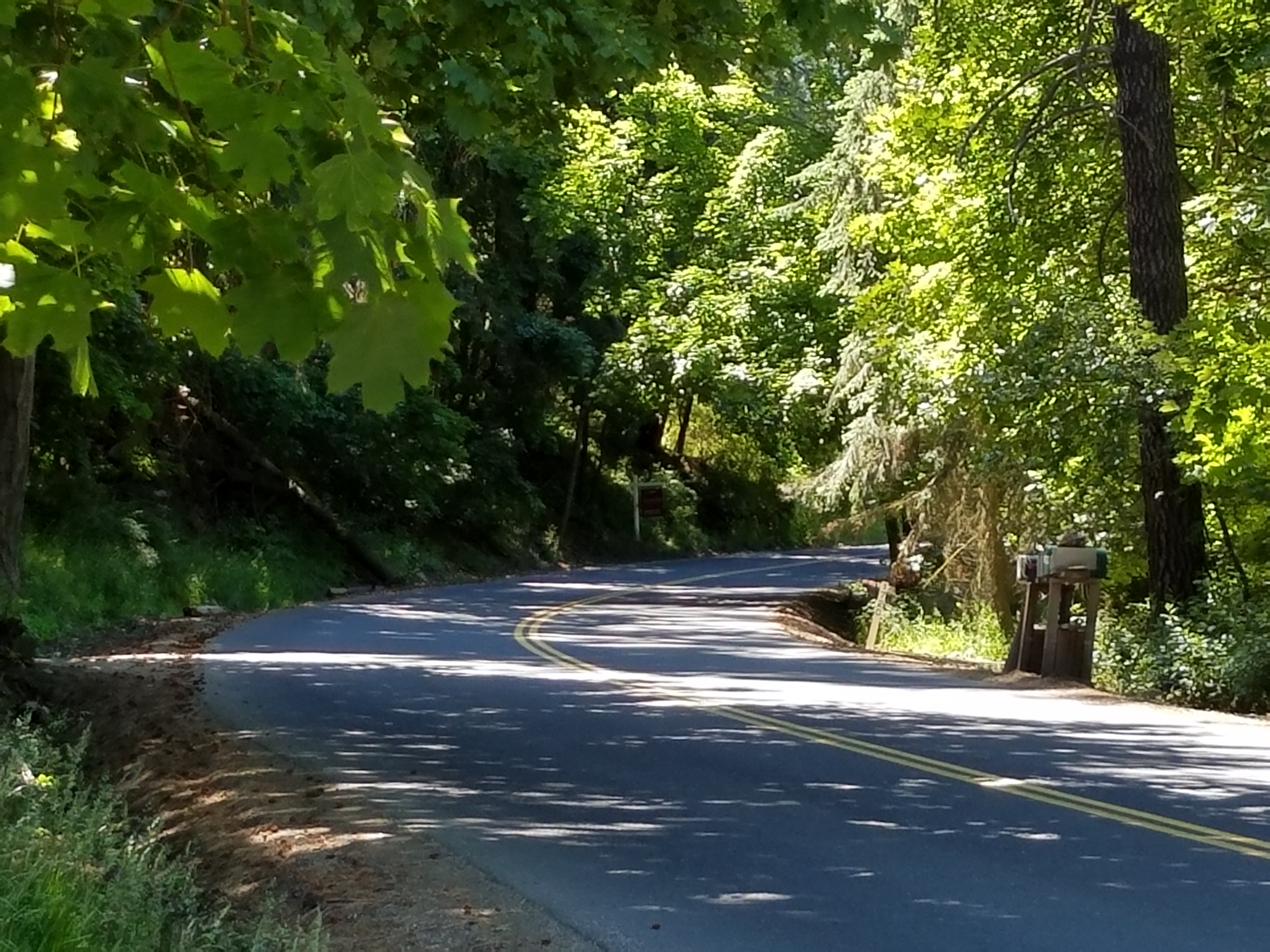 Upheld In A New Bend In The Road