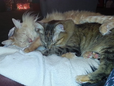 Upheld In A Moment of Time