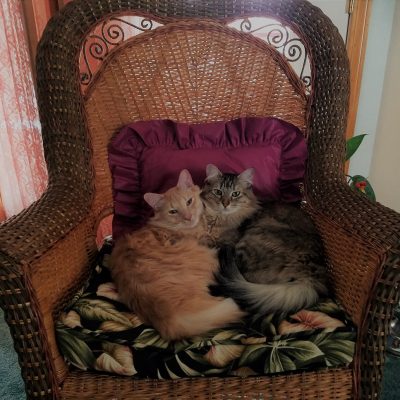 Upheld In Handling With Care