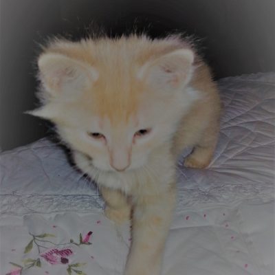 Upheld In Little Things