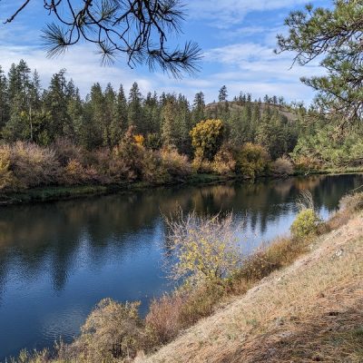 Upheld In Afternoon Peace