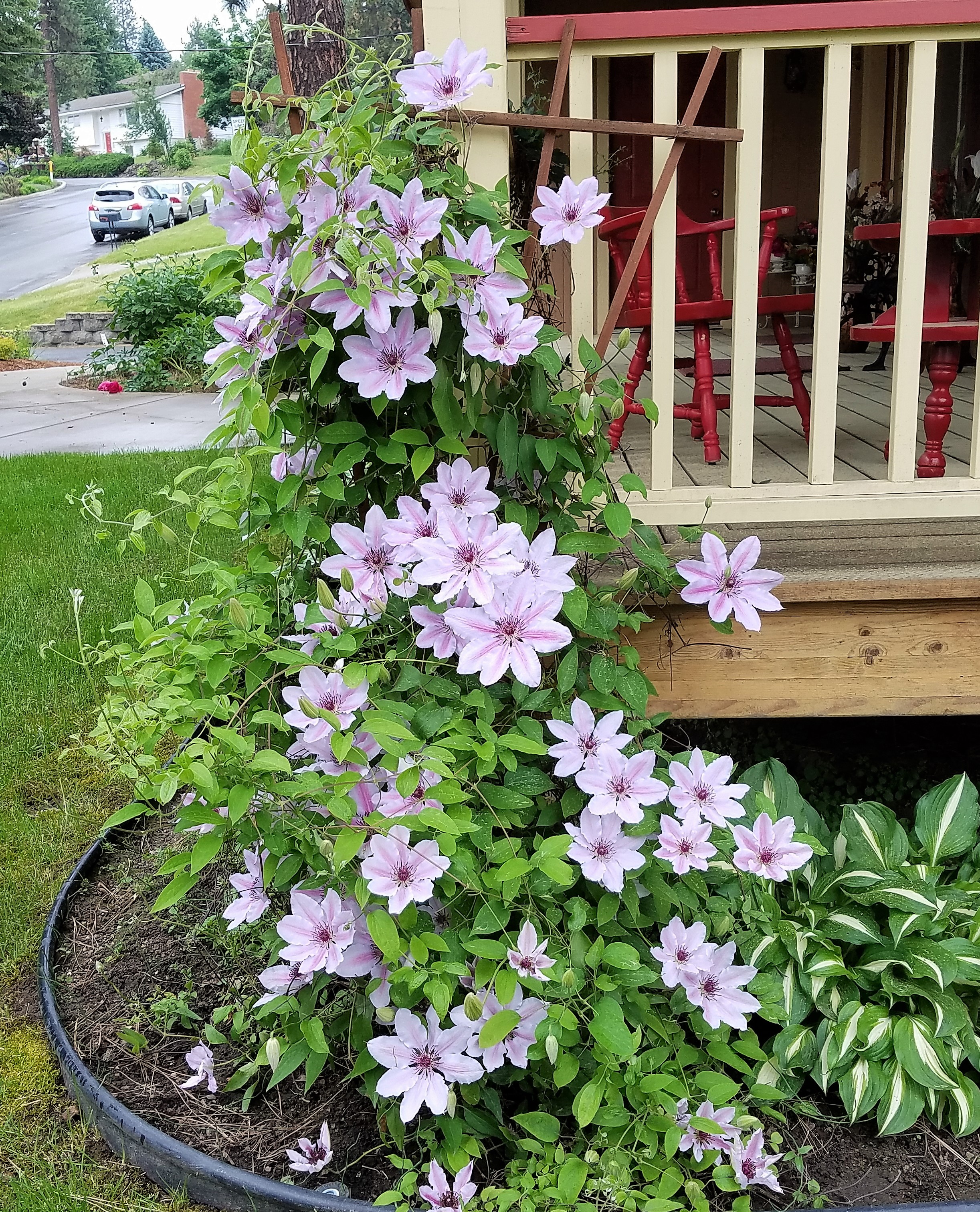 Upheld In Your Own Kind of Beautiful