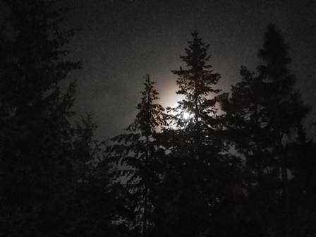 Upheld In Nowhere Else To Go