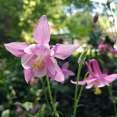 Upheld In Encouragement