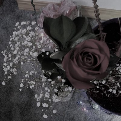 Upheld With David in Hope