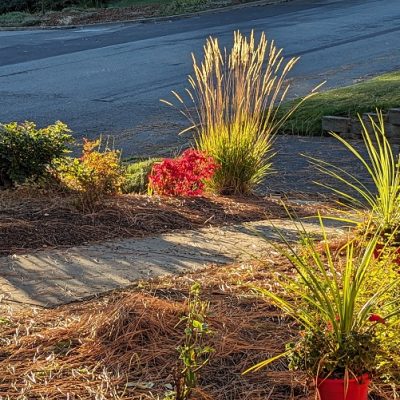 Upheld In Perfect Autumn Days