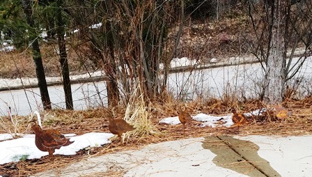 Upheld In Anticipation