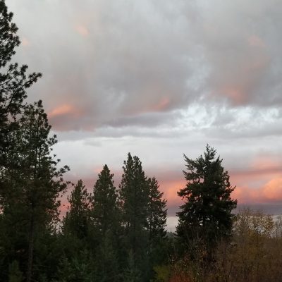 Upheld In Being Close