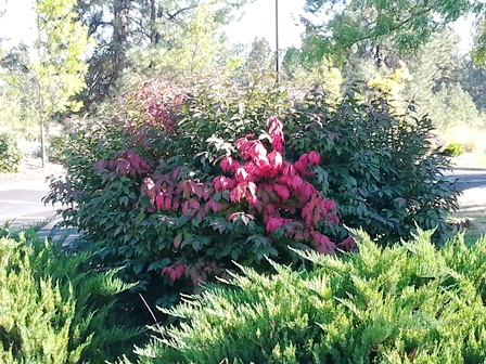 Upheld in Treasuring What You Create