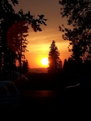 Fire sunset July 2014