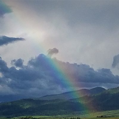 Upheld In God’s Promises