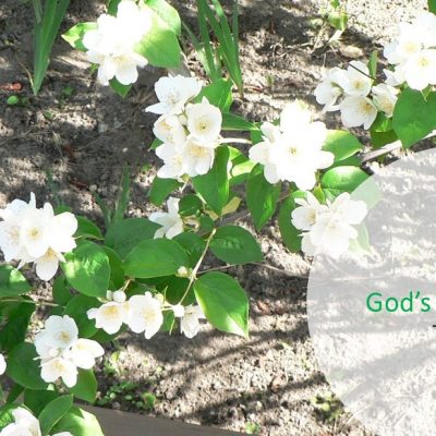 Upheld In God’s Quiet Love