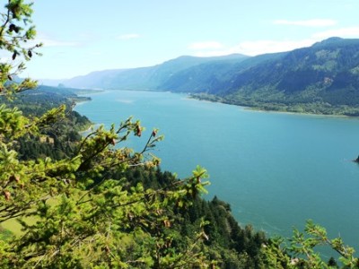 Looking east from the Columbia River Gorge on the Washington State side.
