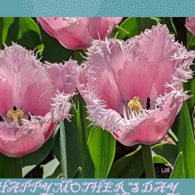 Happy Mother’s Day