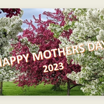 Happy Mother’s Day