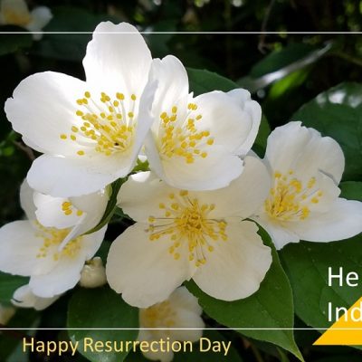 Happy Resurrection Day