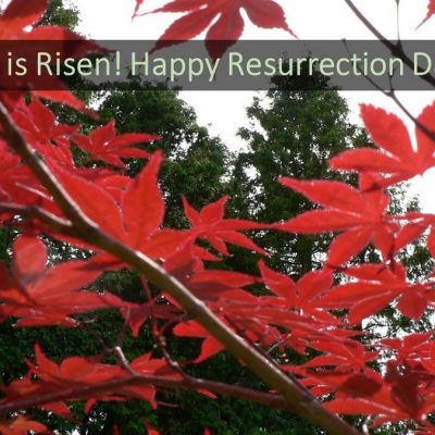 Upheld In Resurrection!