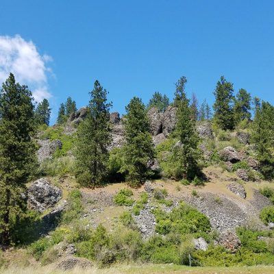 Upheld In a Hillside Rendezvous