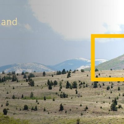 Upheld In Integrity and Reward