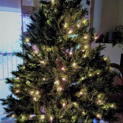 Upheld In Gifts from Light