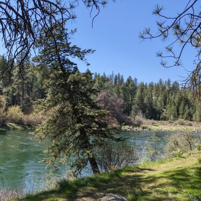 Upheld In Deep Roots