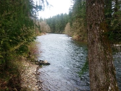Lewis River WA