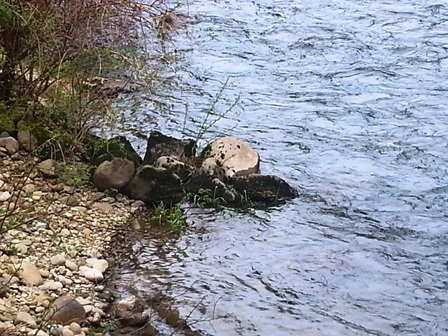 Upheld In Spite of Black Devils