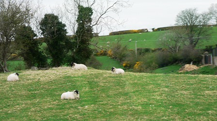 Upheld In The Mystical