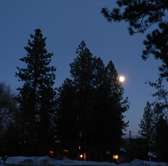 Upheld In Announcements