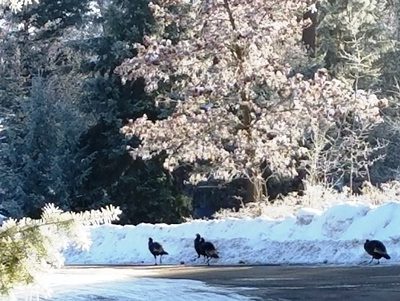 Upheld in Moving Forward