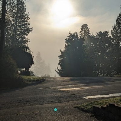 Upheld In A September Morning