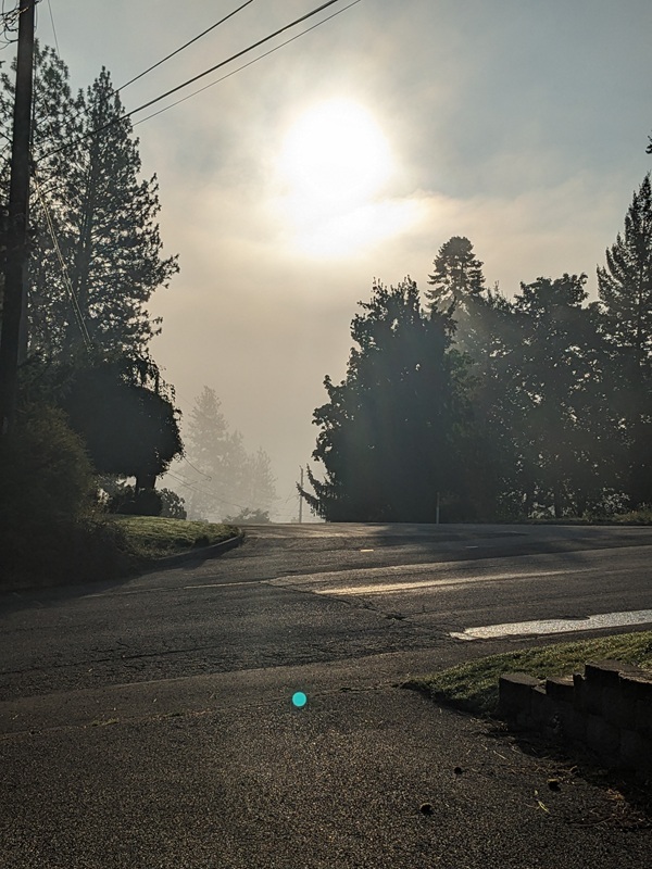 Upheld In A September Morning