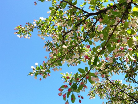 Happy Mother’s Day