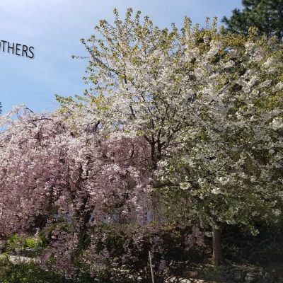 Happy Mother’s Day