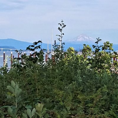 Upheld Still In Beautiful Destinations