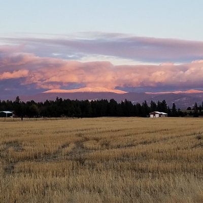 Upheld In the Same Difference