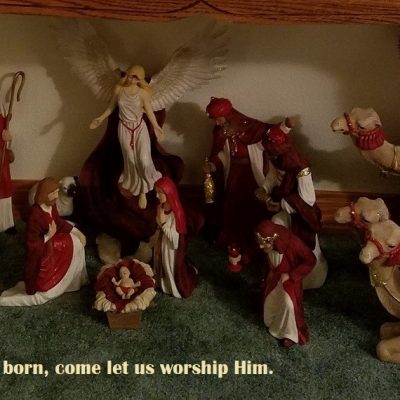 Upheld in True Christmas