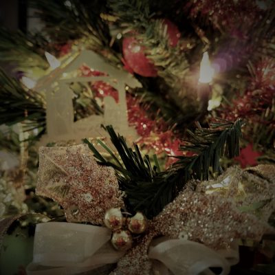 Upheld In Foolishness