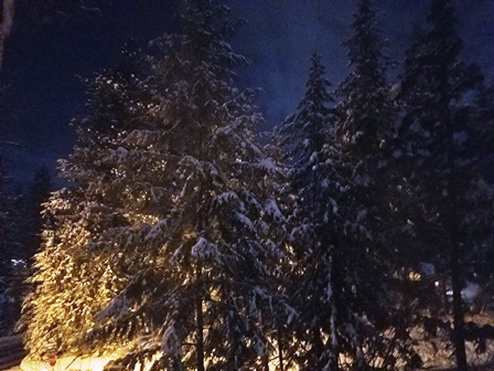 Upheld in Beckoning vs Waiting