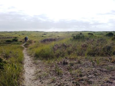 Ocean Shores Beach Trail web