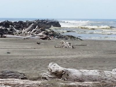 Ocean Shores Jetty Beach9web