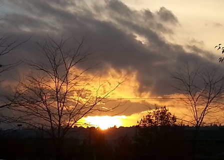 Upheld In Seeing God