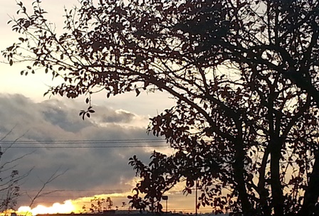 Upheld In The Whirlwind