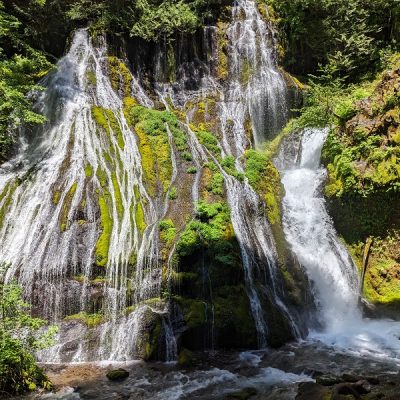 Upheld in Wild and Free